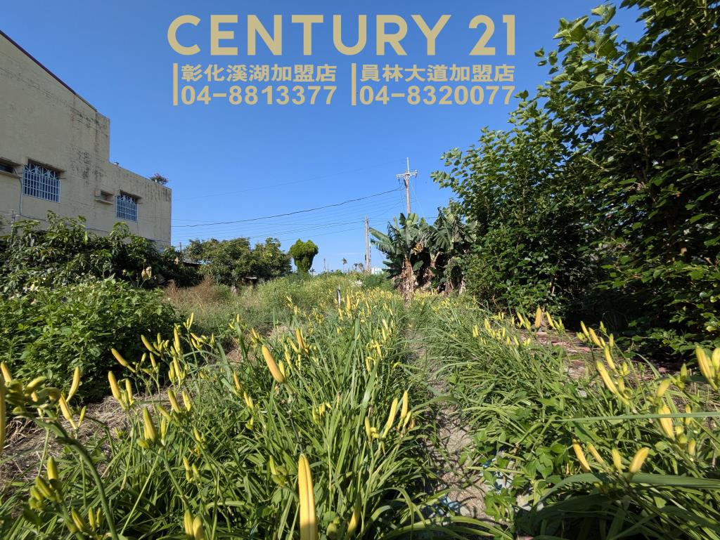 永靖湳墘超俗農保田