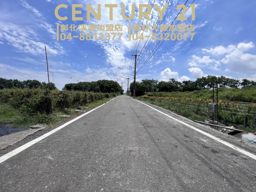 田尾新生路旁美田