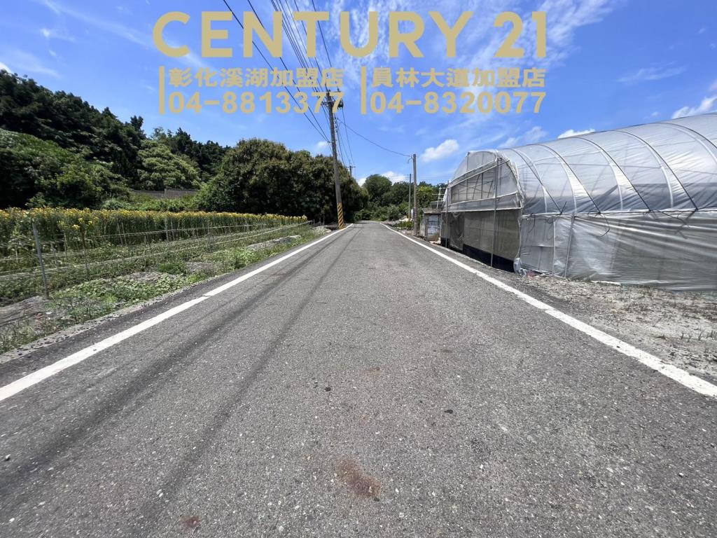 田尾新生路旁美田