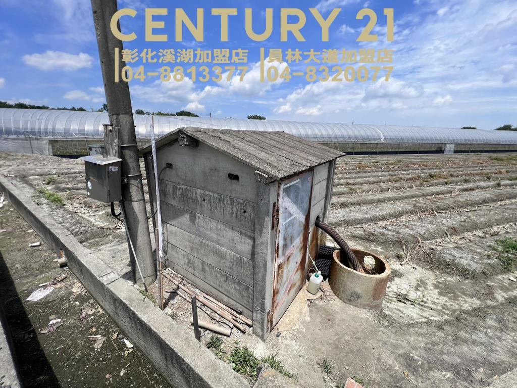 田尾新生路旁美田