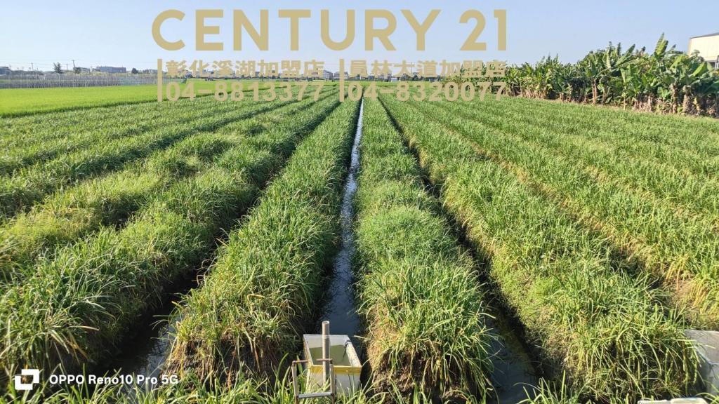 溪湖中興段方正美田