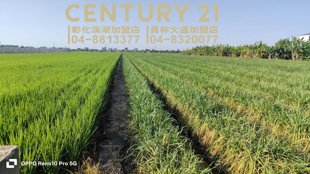 溪湖中興段方正美田