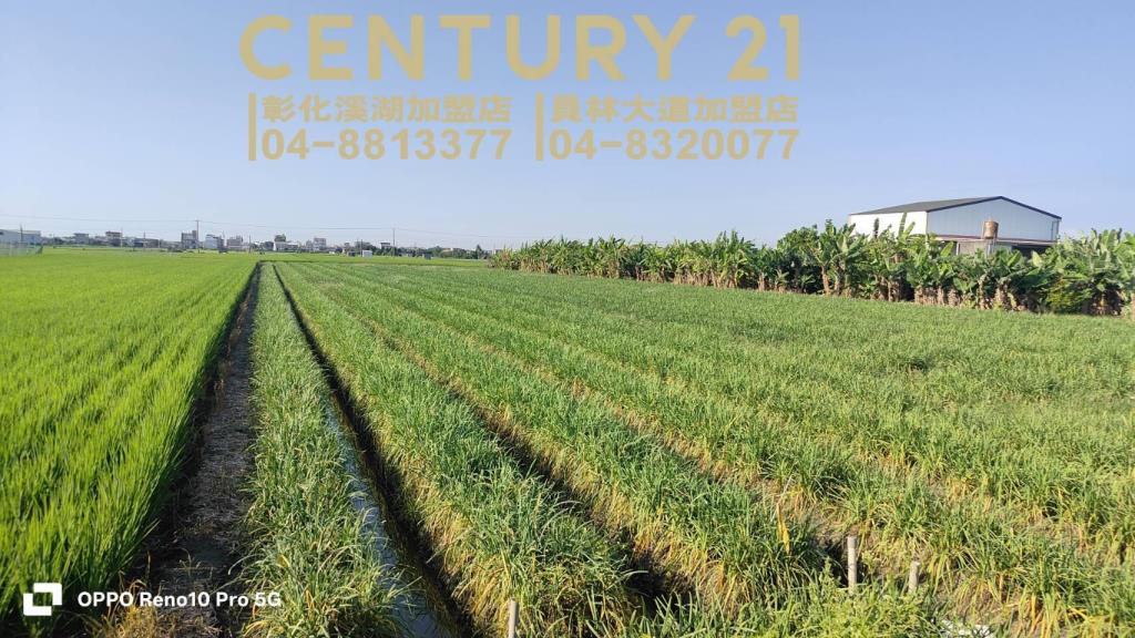 溪湖中興段方正美田