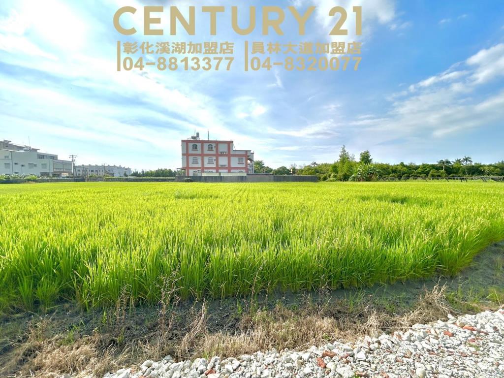 埔心二抱路方正農保田