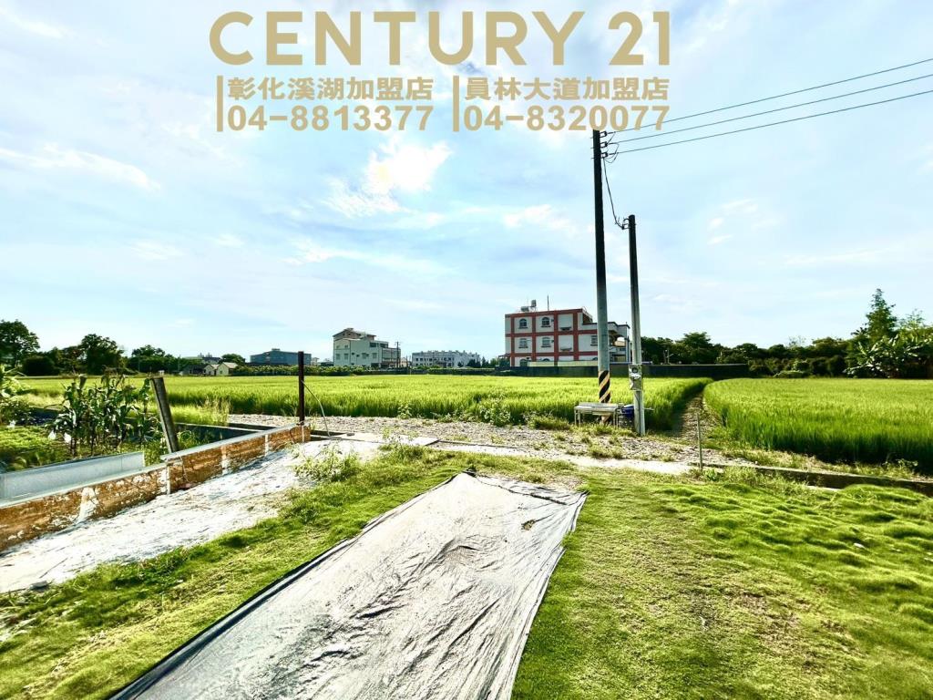 埔心二抱路方正農保田