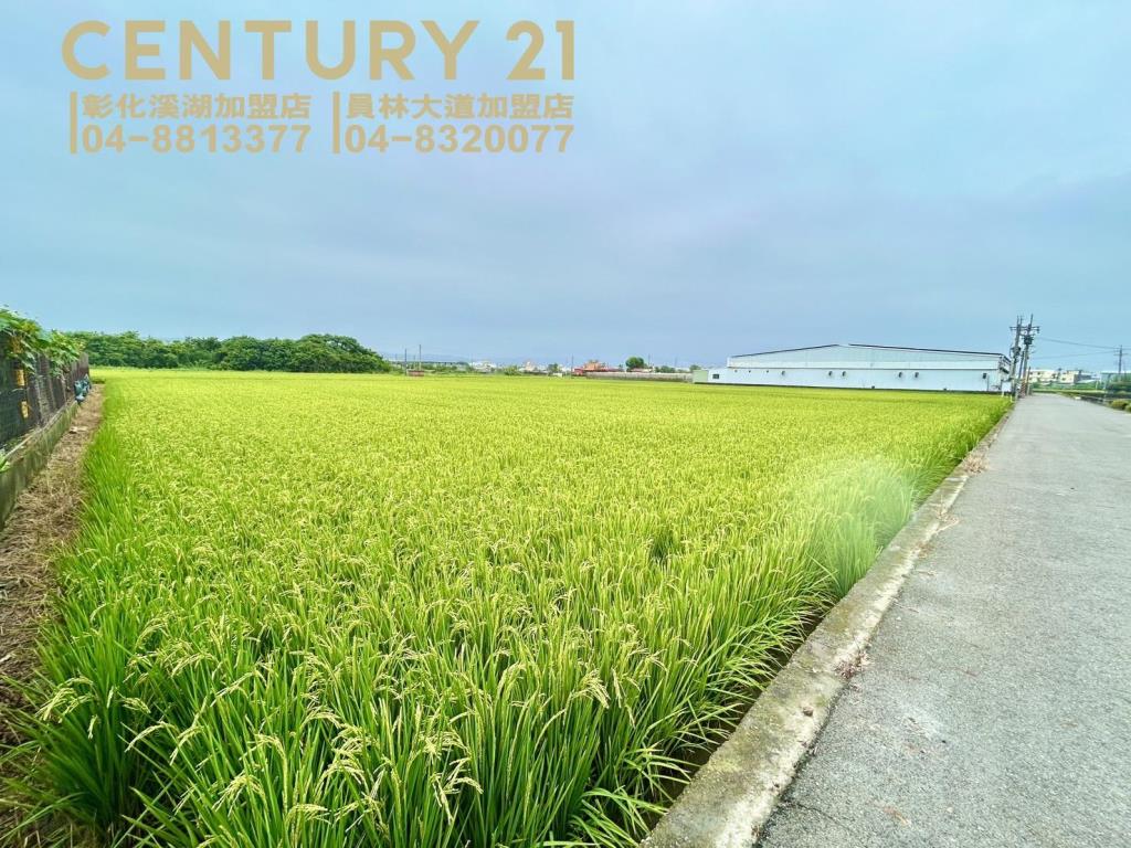 大村近中山路方正美田