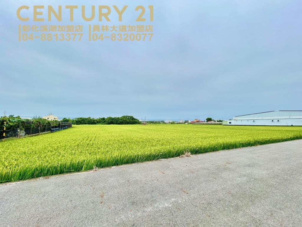 大村近中山路方正美田