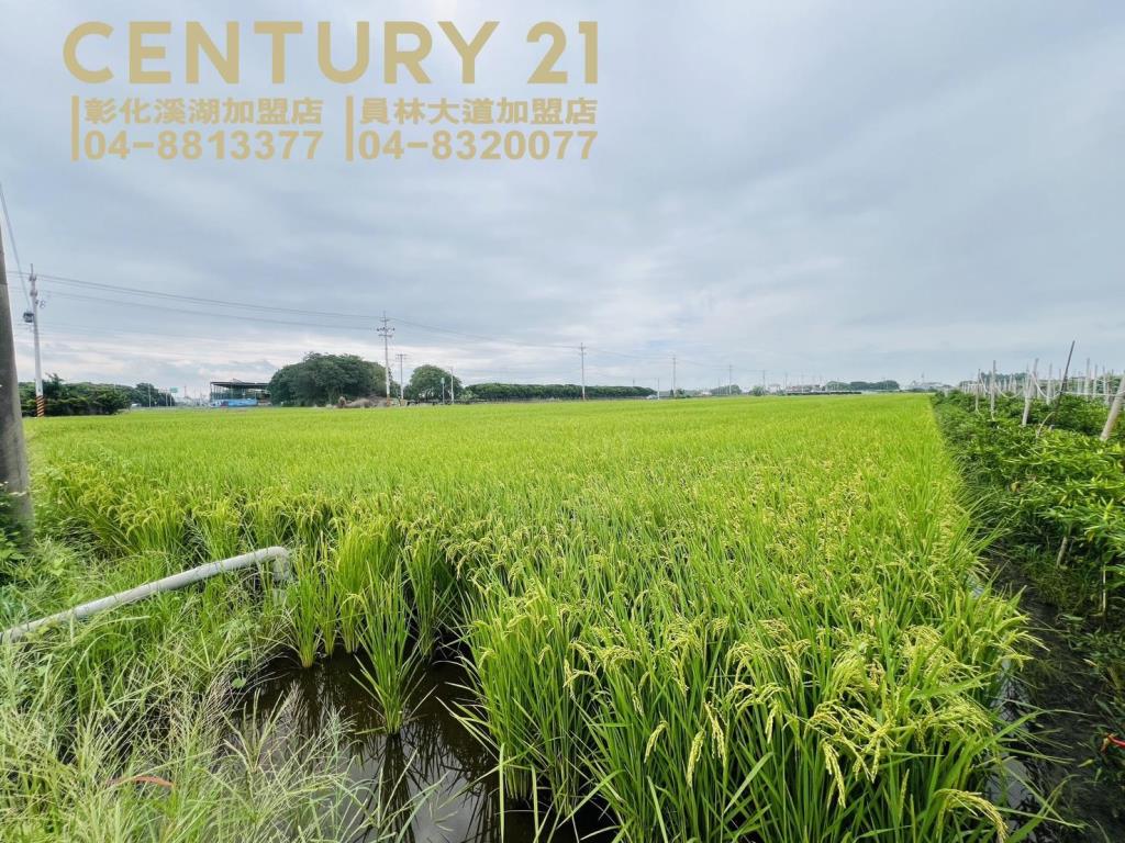 埤頭溪林路一彎美田