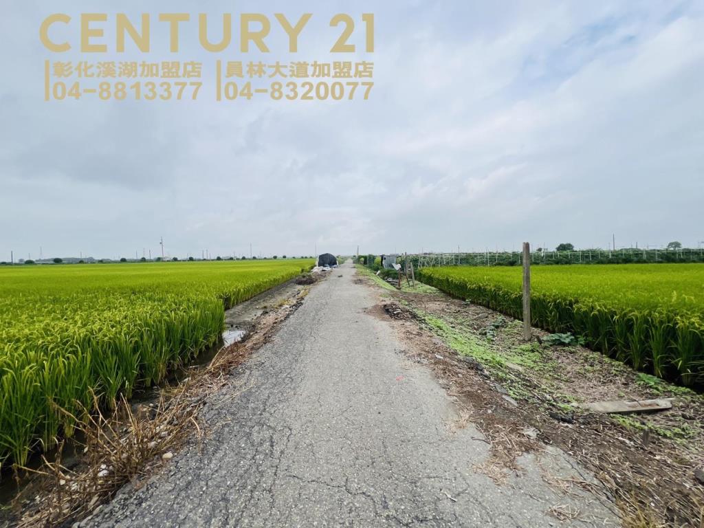 埤頭溪林路一彎美田