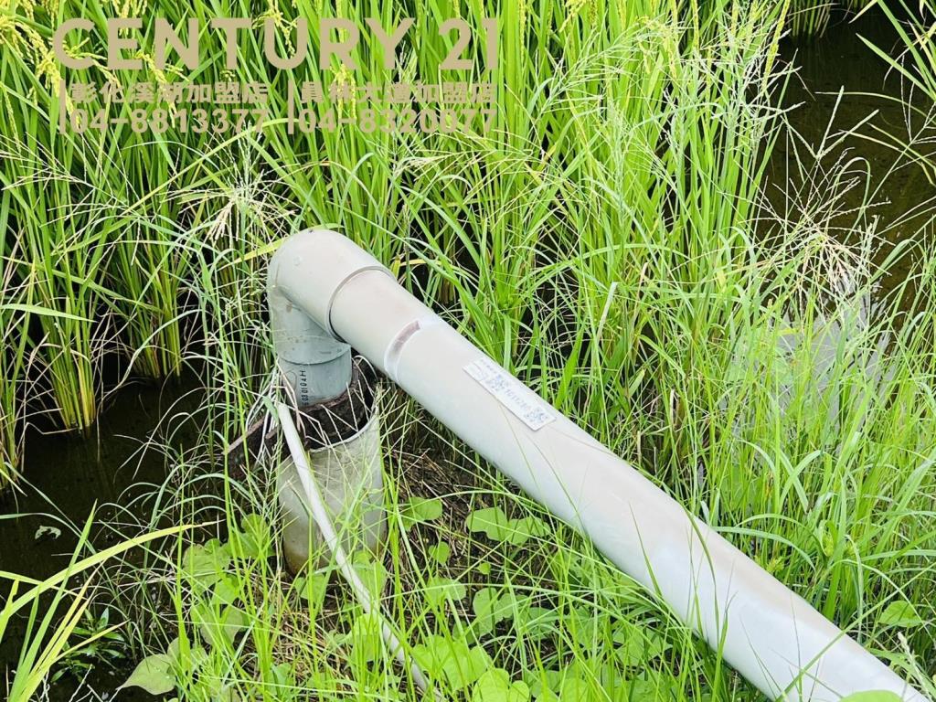 埤頭溪林路一彎美田