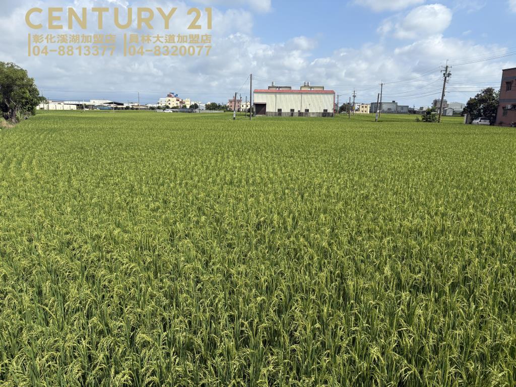 秀水正番花路角田