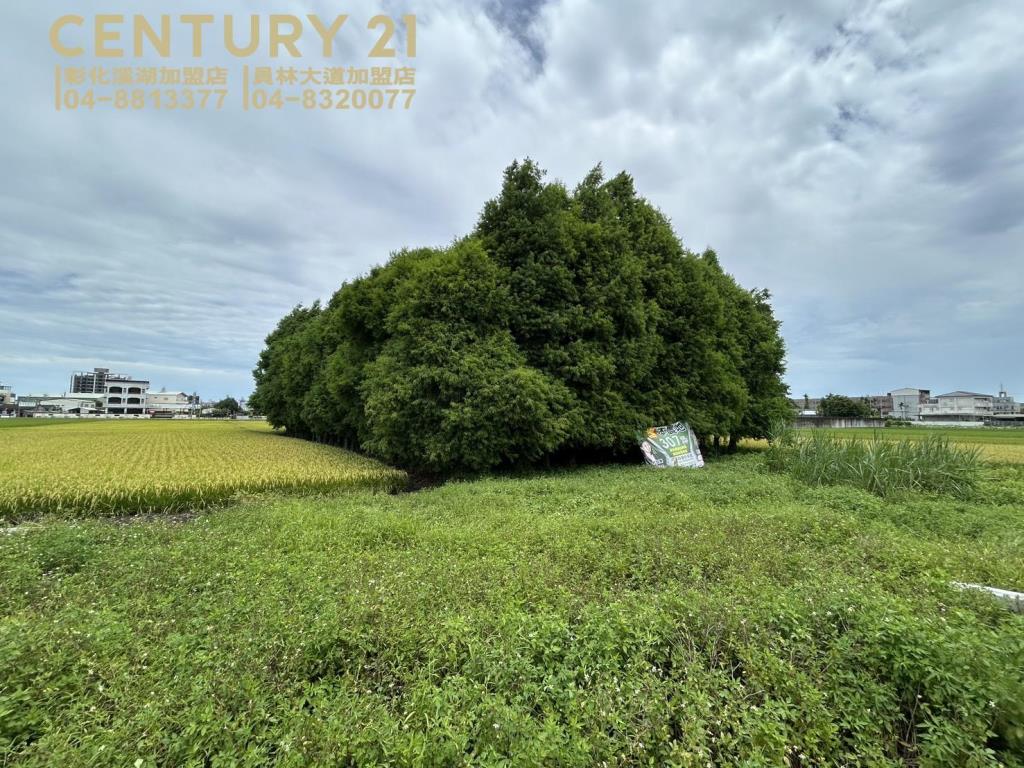 員林近黑竹園農保田