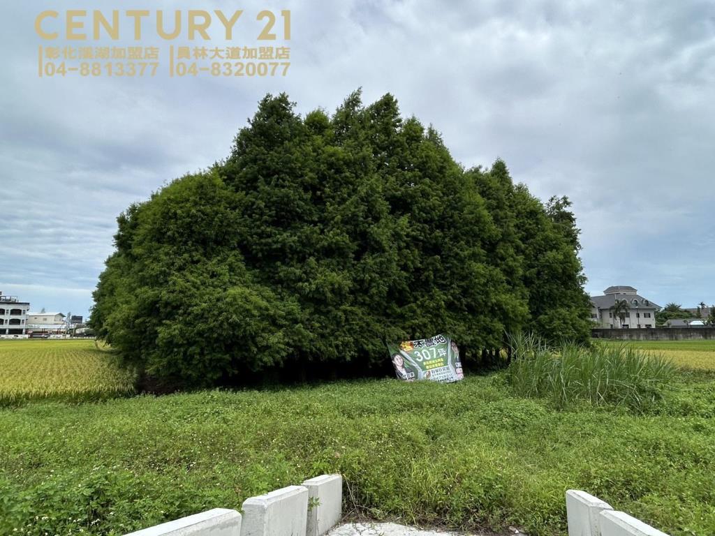 員林近黑竹園農保田