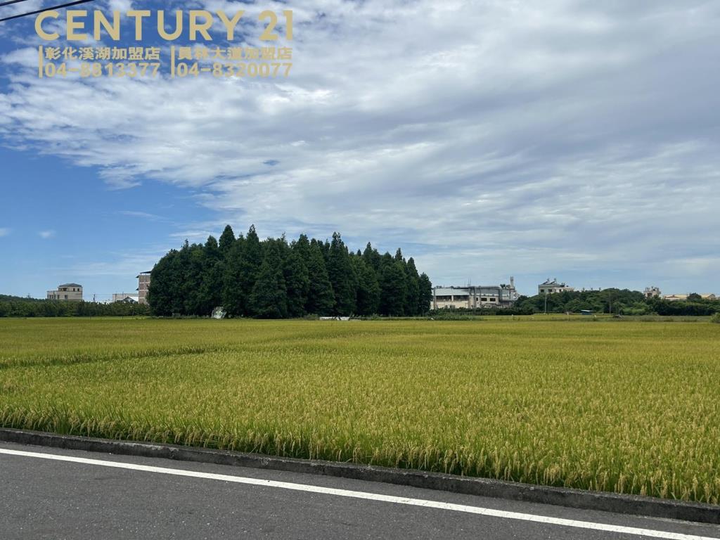 員林大饒路方正農地