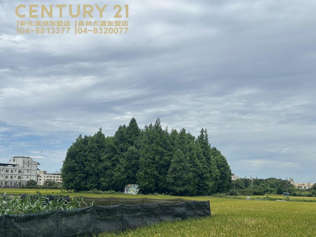 員林大饒路方正農地