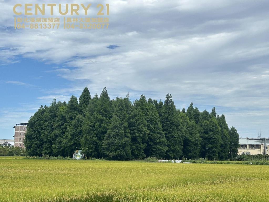 員林大饒路方正農地