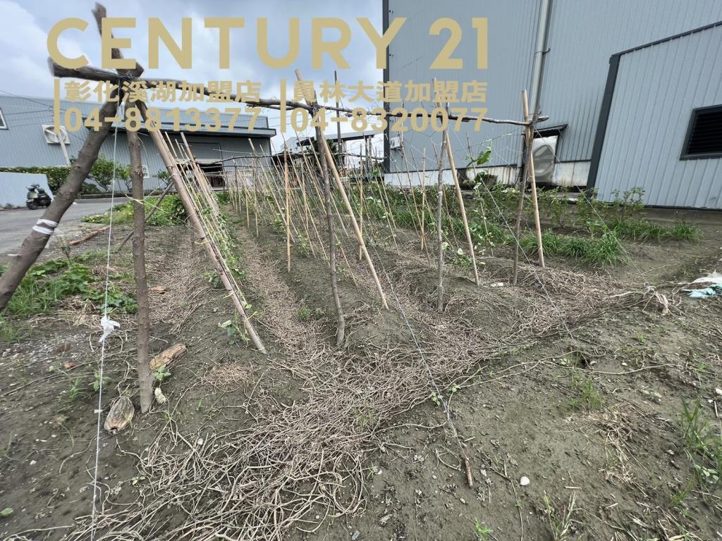 埔鹽彰水路旁小農田