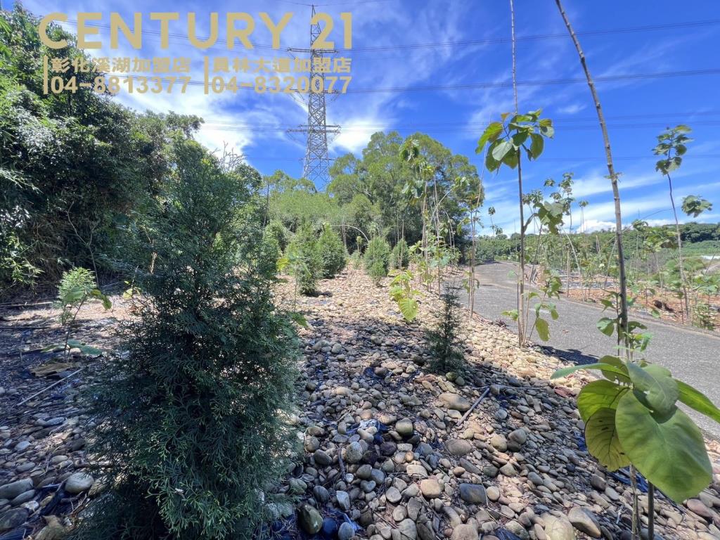 芬園139旁大塊美田