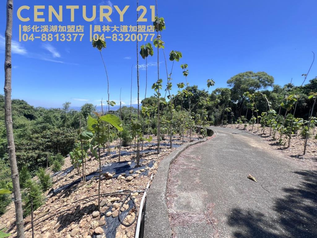 芬園139旁大塊美田