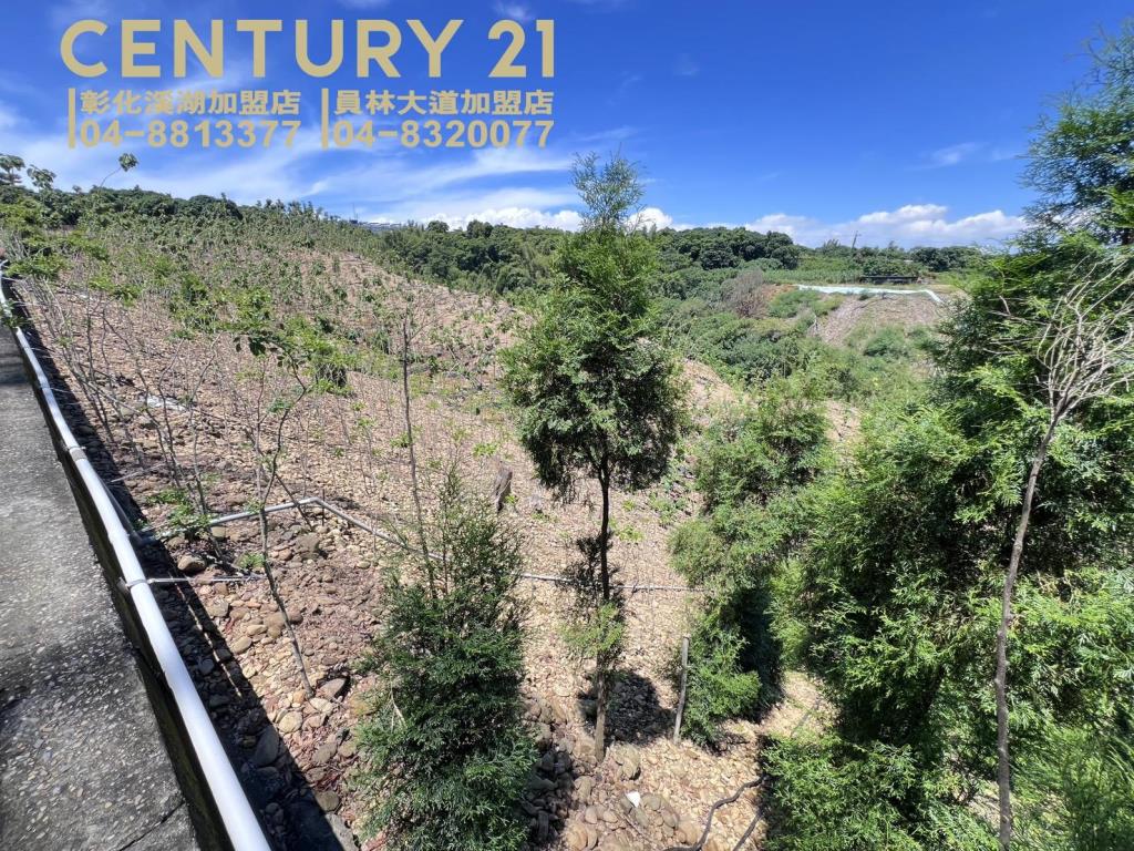 芬園139旁大塊美田