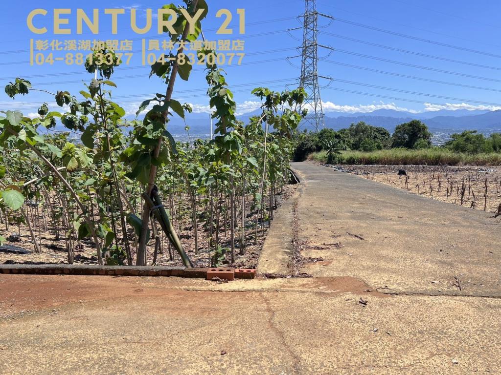 芬園139旁大塊美田