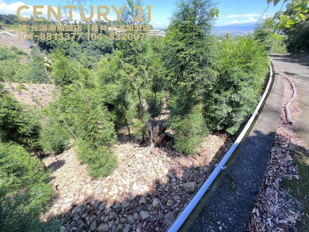 芬園139旁大塊美田