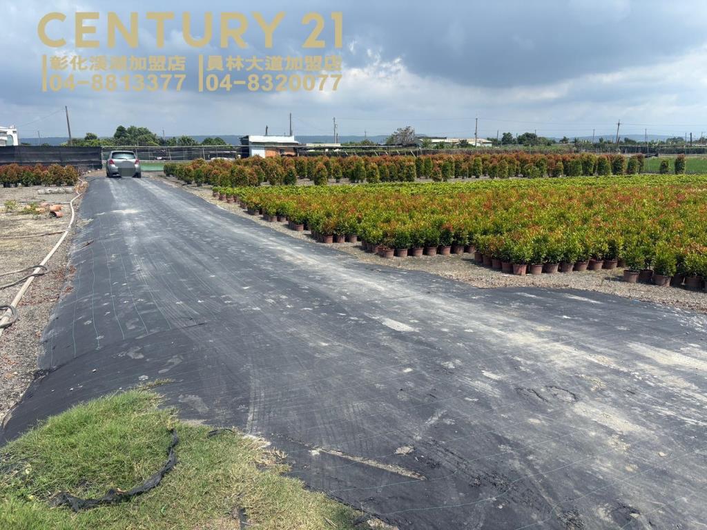 永靖近羅厝大面寬美田