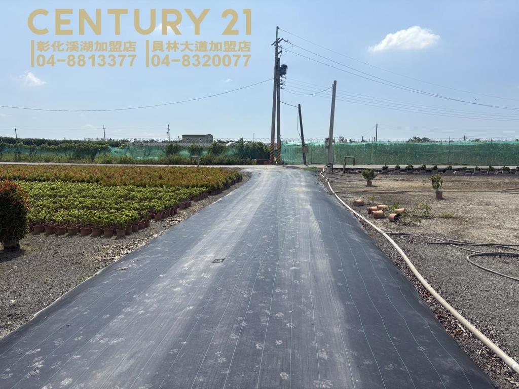 永靖近羅厝大面寬美田