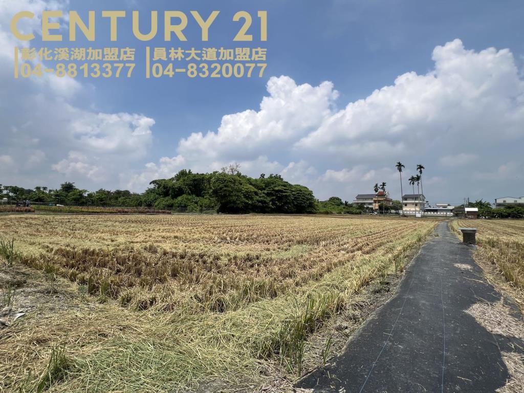 埔心近奉天宮方正美田