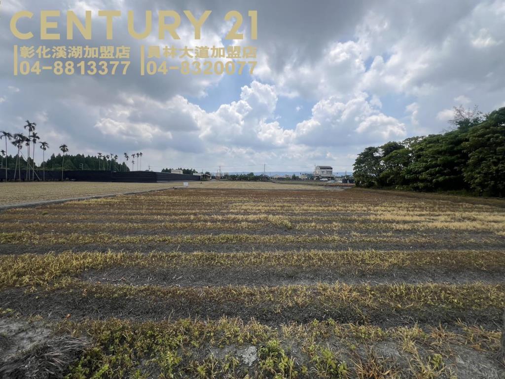 埔心近奉天宮方正美田