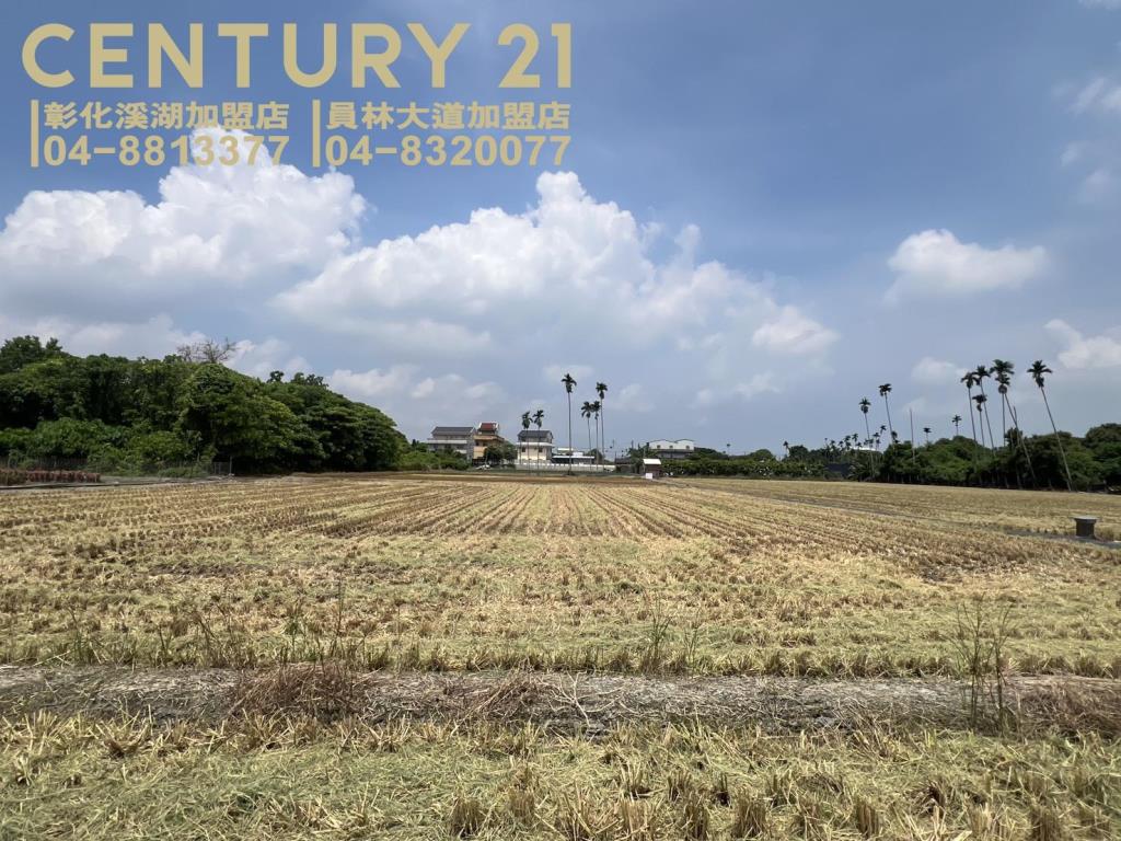 埔心近奉天宮方正美田