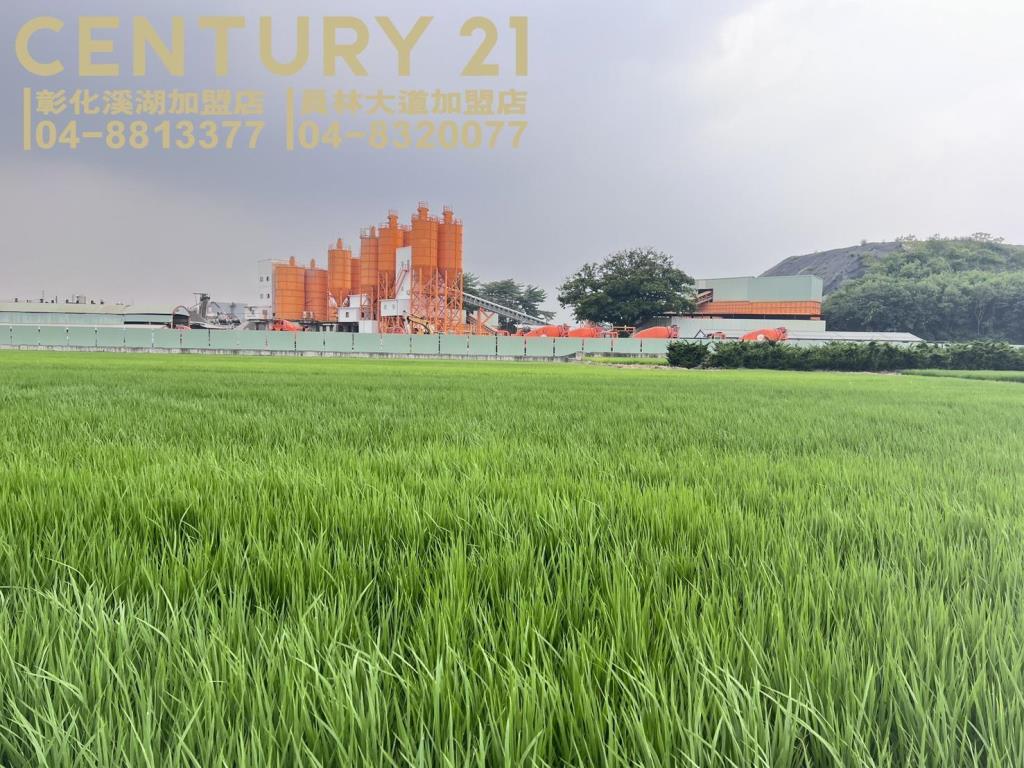 烏日溪岸路旁美田