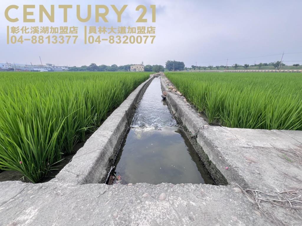 烏日溪岸路旁美田