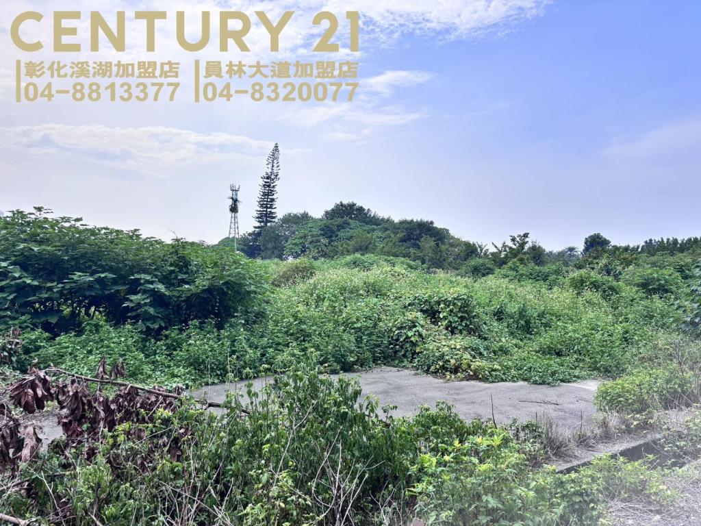 田尾近溪湖交流道建地