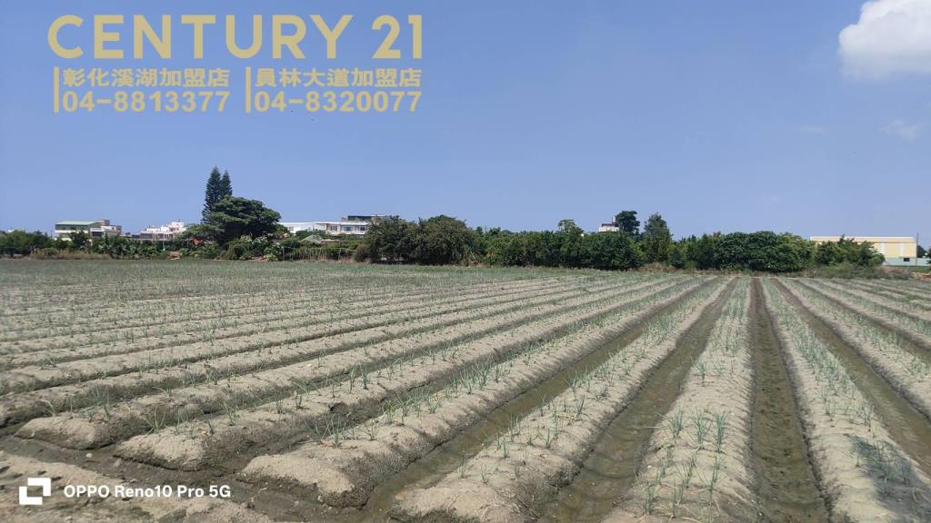 福興阿力街旁美田