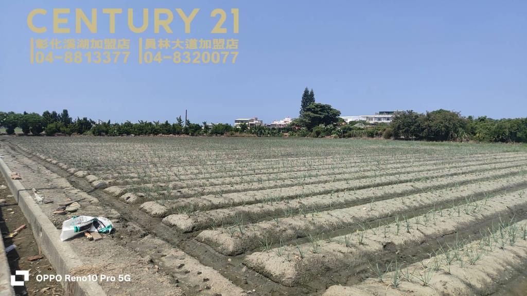 福興阿力街旁美田