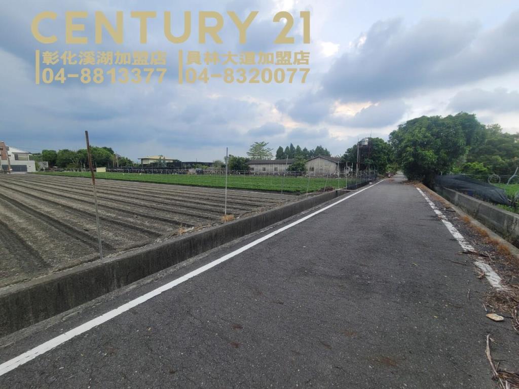 田尾方正雙面路美田