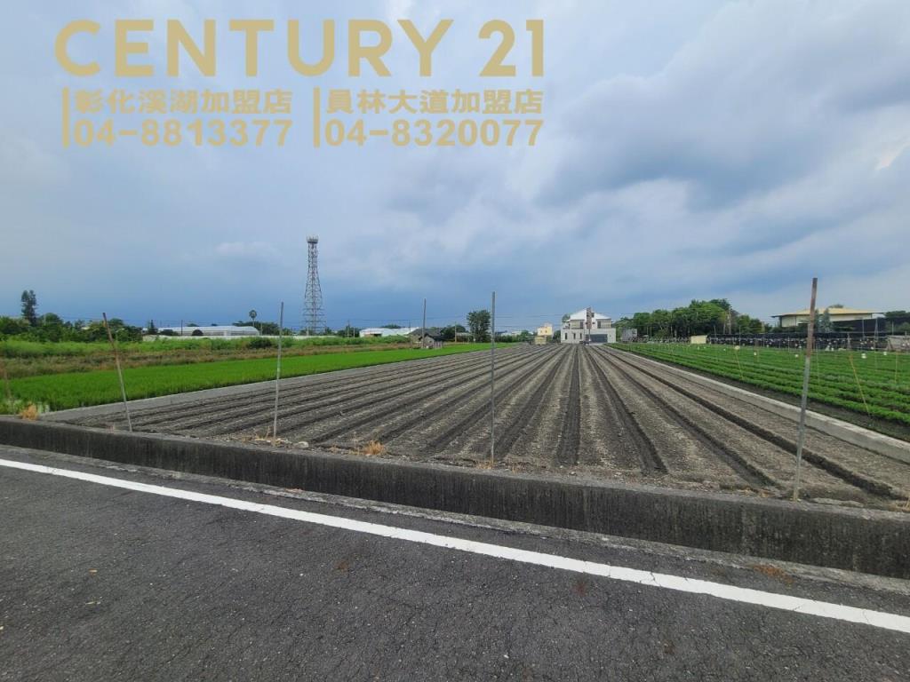 田尾方正雙面路美田