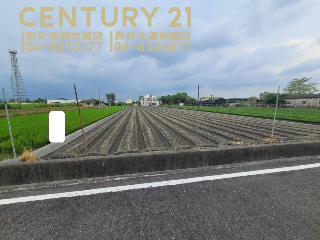 田尾方正雙面路美田