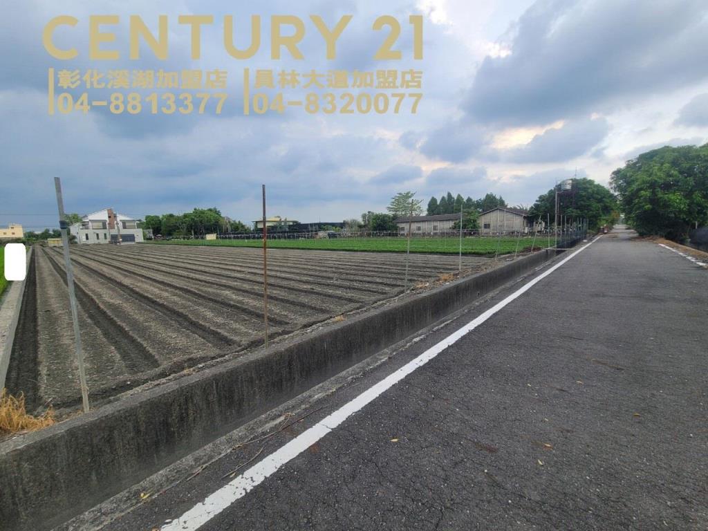 田尾方正雙面路美田