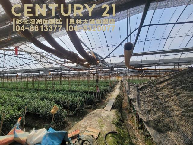 田尾三溪路旁溫室角田