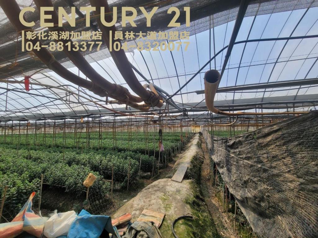 田尾三溪路旁溫室角田