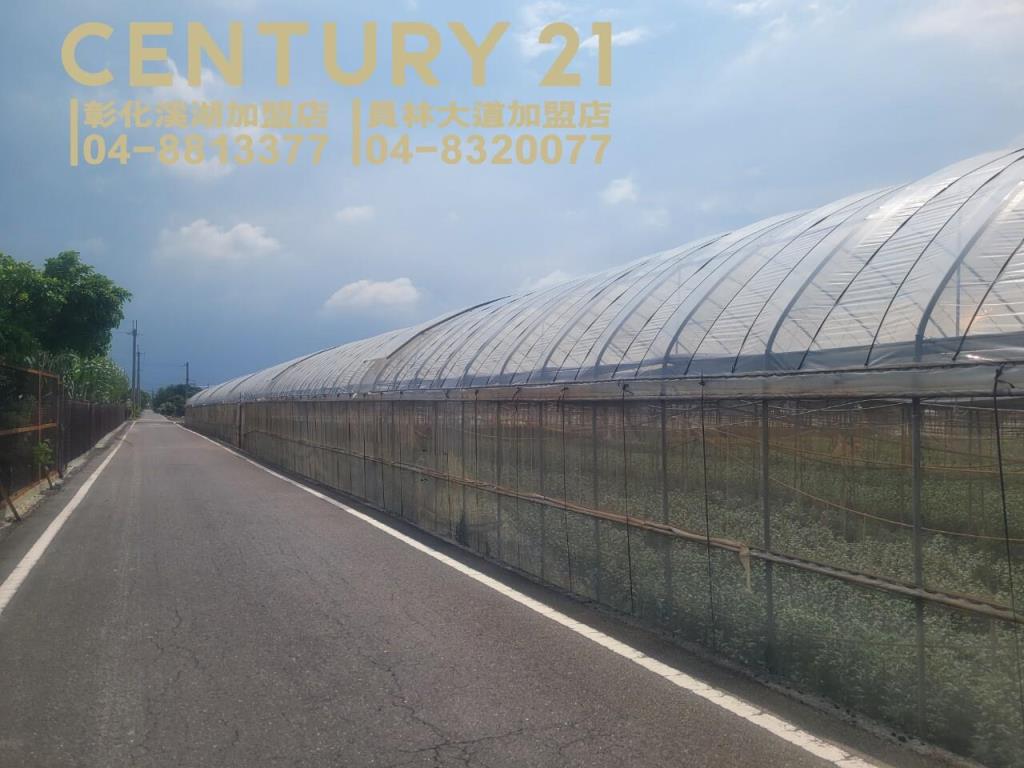 田尾三溪路旁溫室角田
