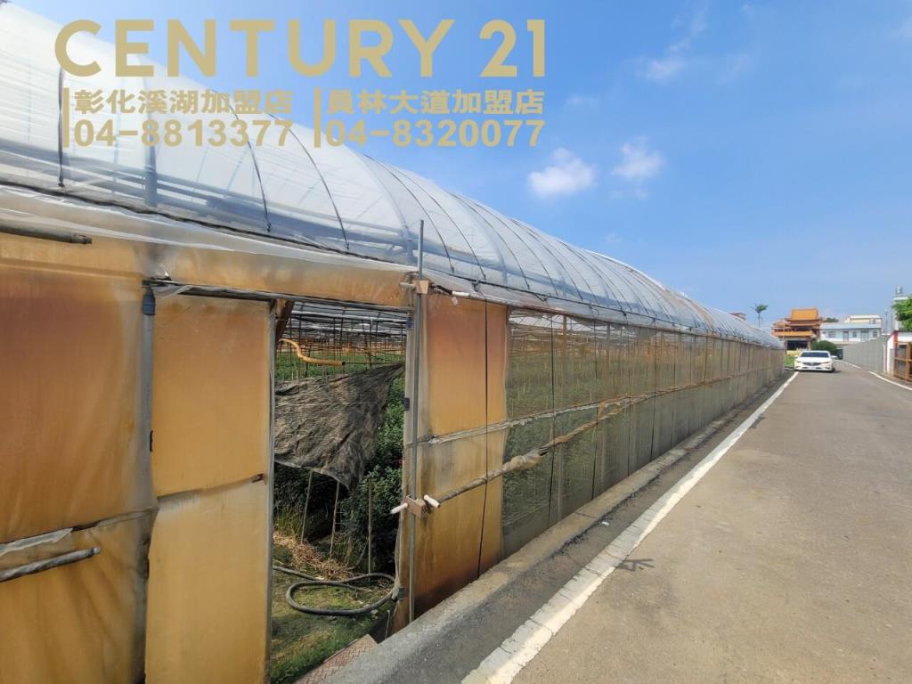田尾三溪路旁溫室角田