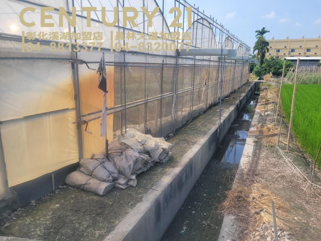 田尾三溪路旁溫室角田