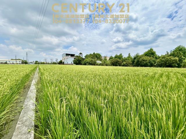 永靖永豐路方正美田