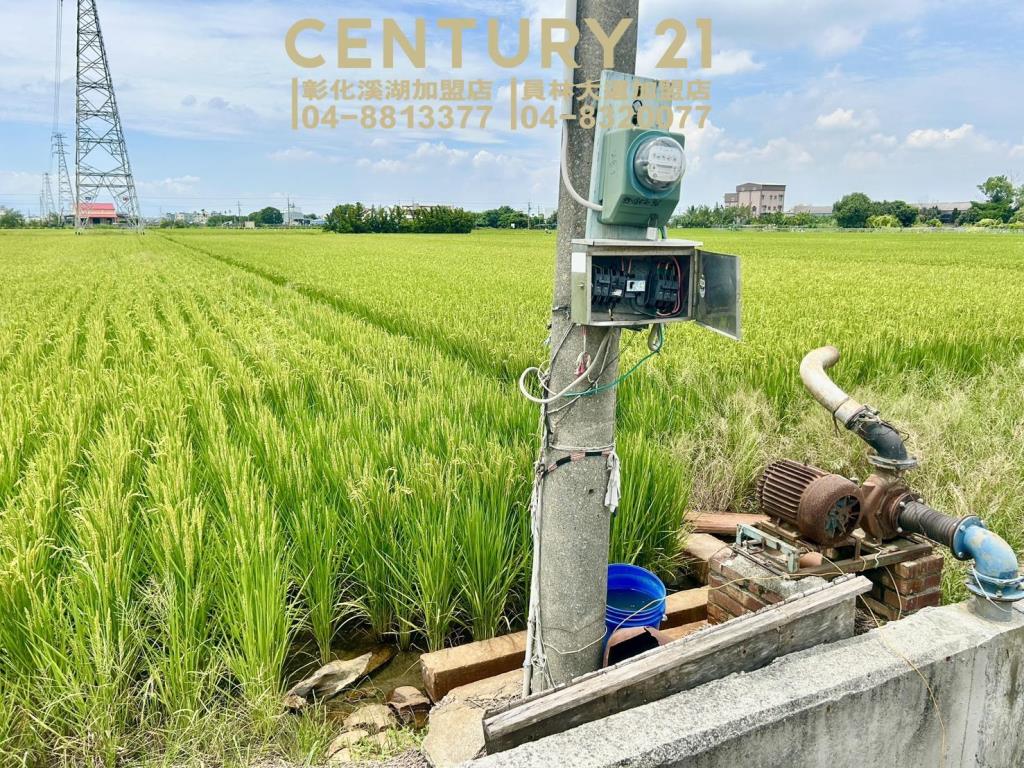 永靖永豐路方正美田