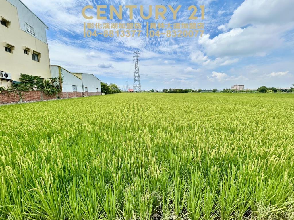 永靖永豐路方正美田