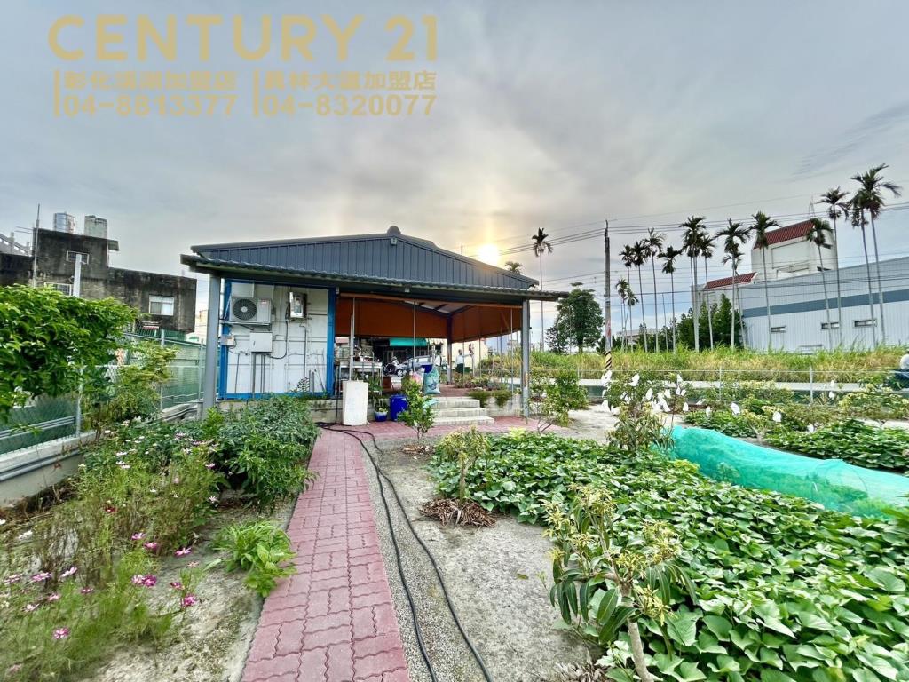 大村大溪路三面路果園