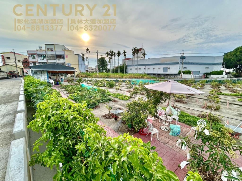 大村大溪路三面路果園